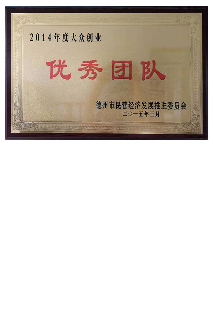 大眾創(chuàng)業(yè)優(yōu)秀團(tuán)隊(duì)